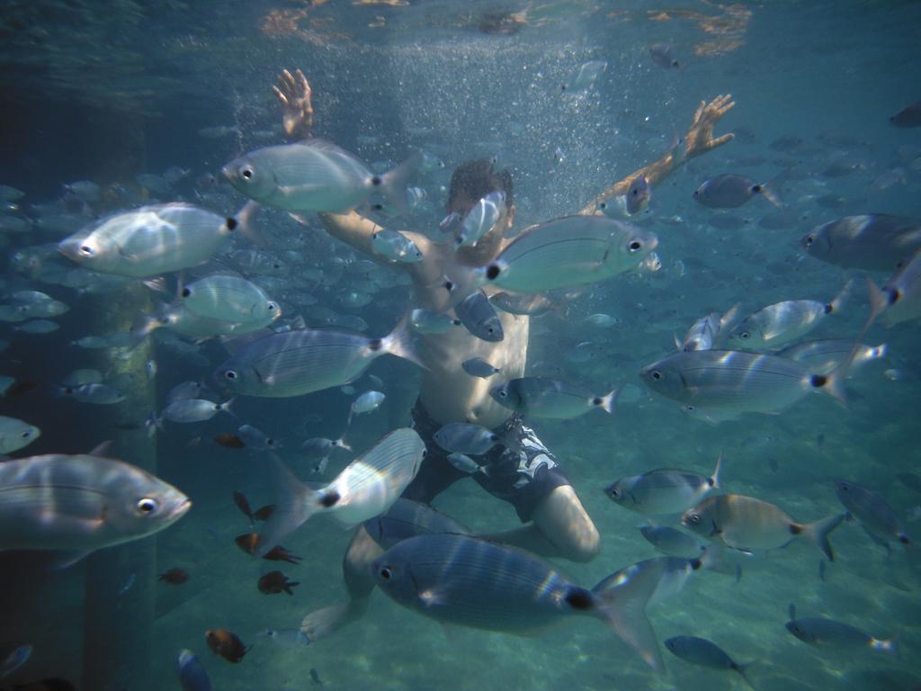 Mio Bianco Resort All Inclusive Akyarlar Ruang foto